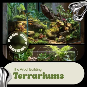 Build a Terrarium That Stays Alive: Clean Step-by-Step